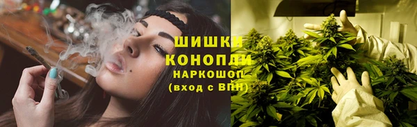 стафф Дмитриев