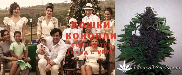 синтетический гашиш Дмитров