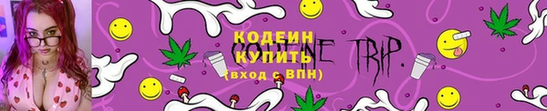 стафф Дмитриев