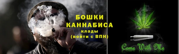 молекула духа Дмитровск