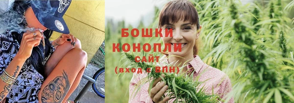 молекула духа Дмитровск