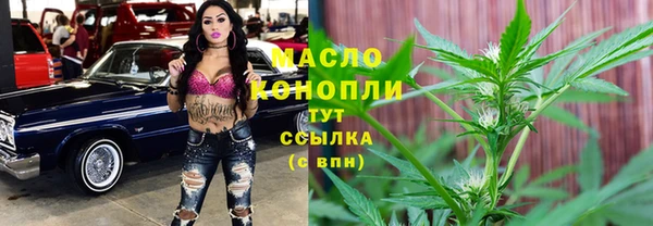 молекула духа Дмитровск