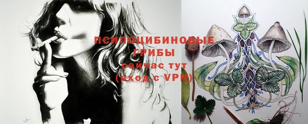 стафф Дмитриев