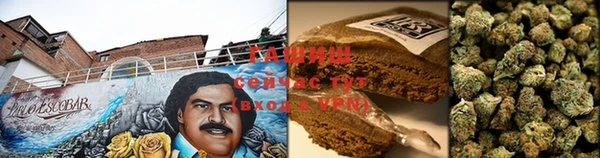 молекула духа Дмитровск