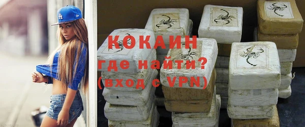стафф Дмитриев