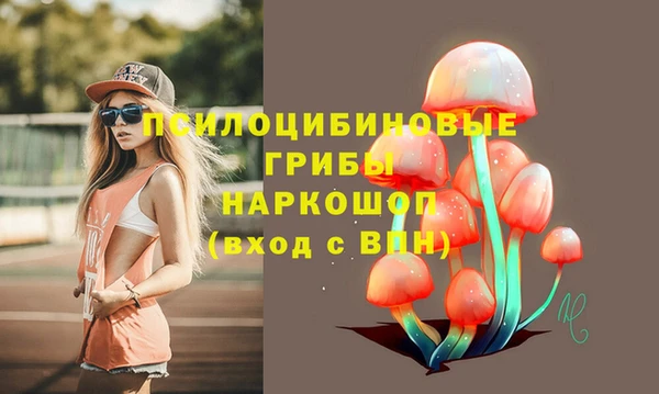 сатива Гусев