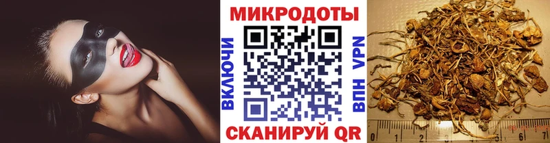Купить где  Макарьев  Галлюциногенные грибы MAGIC MUSHROOMS 